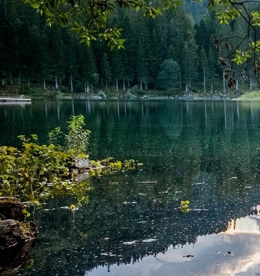 粉象生活 李红星