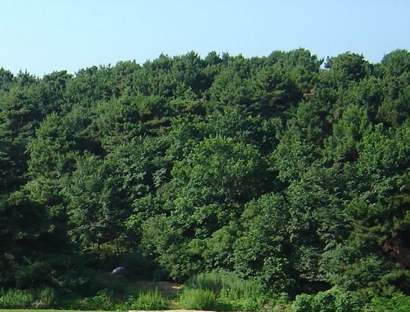 粉象生活属于哪家公司