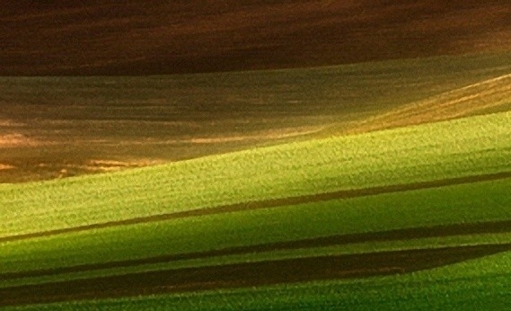 粉象生活微信登录能注销吗