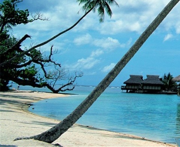 粉象生活邀请码