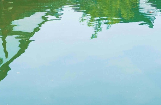 粉象生活粉丝买东西我能赚佣金吗