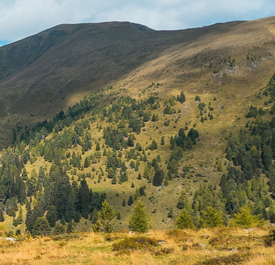 粉象生活下载app