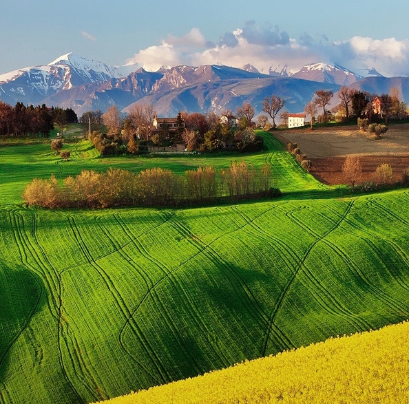 粉象生活app下载安装