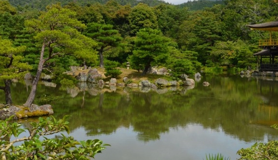 粉象生活合伙人邀请码