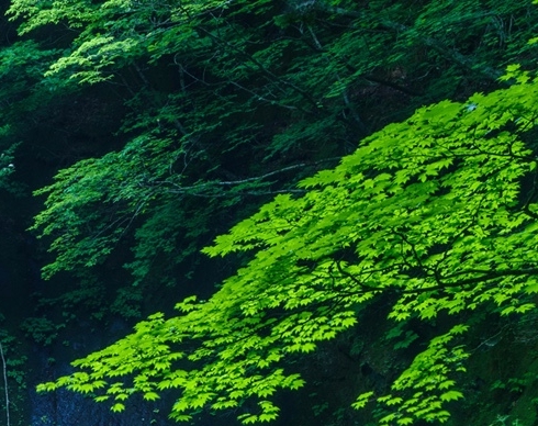 粉象生活注册的客户在哪里