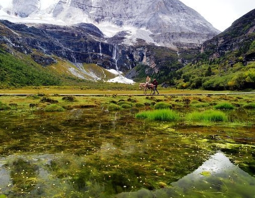 和生活爱辽宁是正规的吗