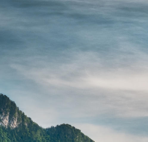 粉象生活可以赚钱吗