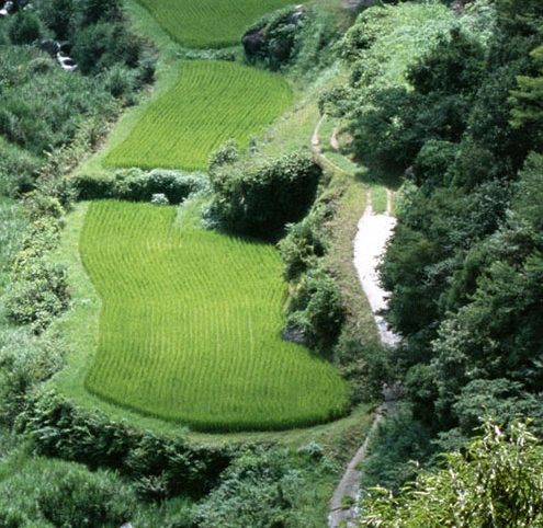 加入粉象生活福利