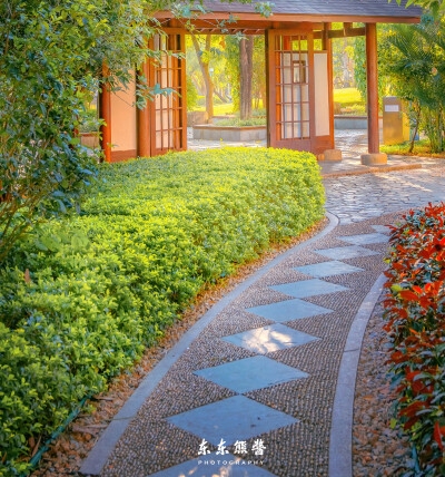 粉象生活邀请码