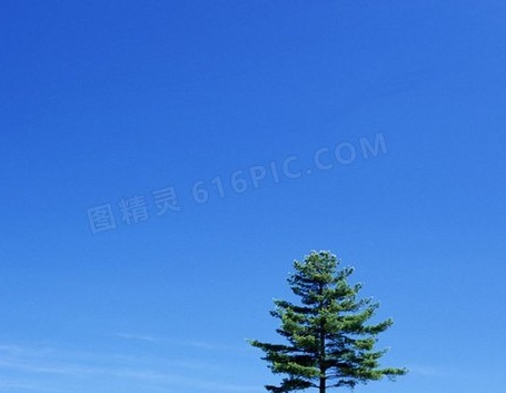 粉象生活邀请码