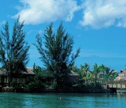 粉象生活的签约会员