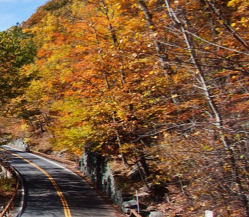 粉象生活真实收入