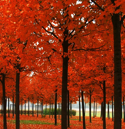 粉象生活赚钱教程