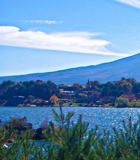 粉象生活是个什么东西