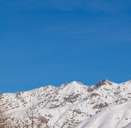 粉象生活app官方
