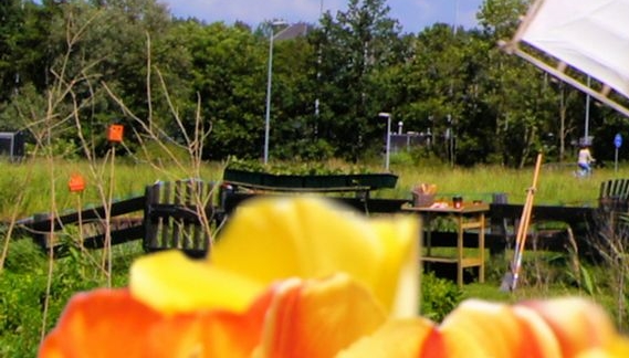 厦门老人生活照料一般收费多少