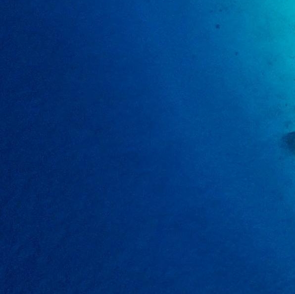 厦门粉象生活收费