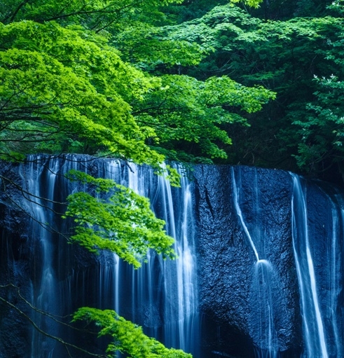 粉象生活下载