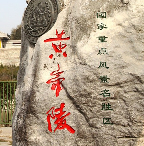 与蜜源粉象生活