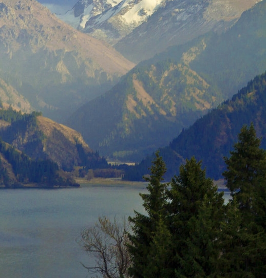 粉象生活猫妈妈