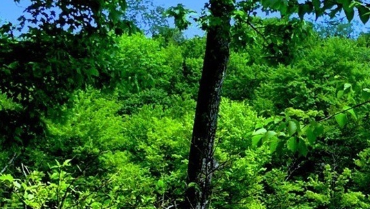 粉象生活标语