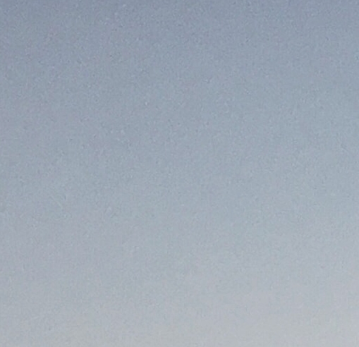 粉象生活是干什么的