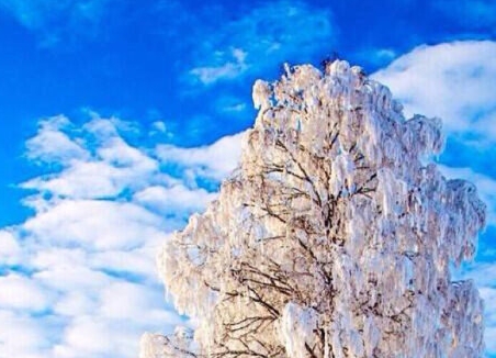 粉象生活怎么添加不了商品