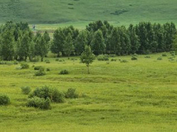 粉象生活真实收入