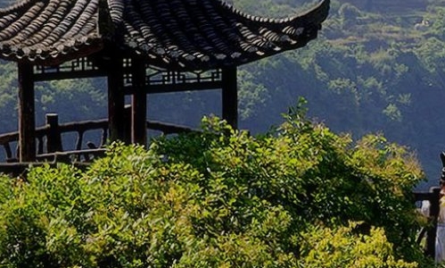 粉象生活