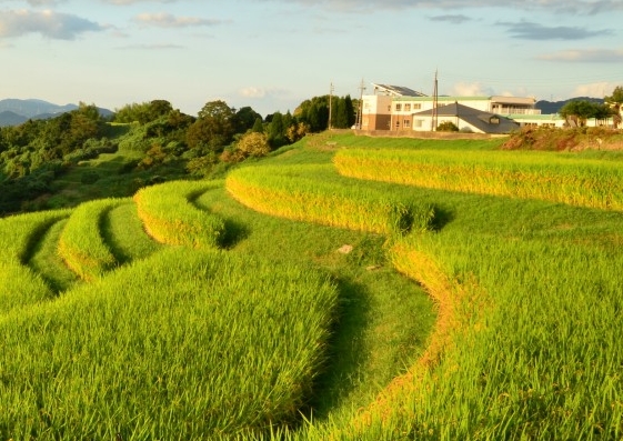 粉象生活app