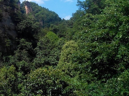 粉象生活怎么赚钱