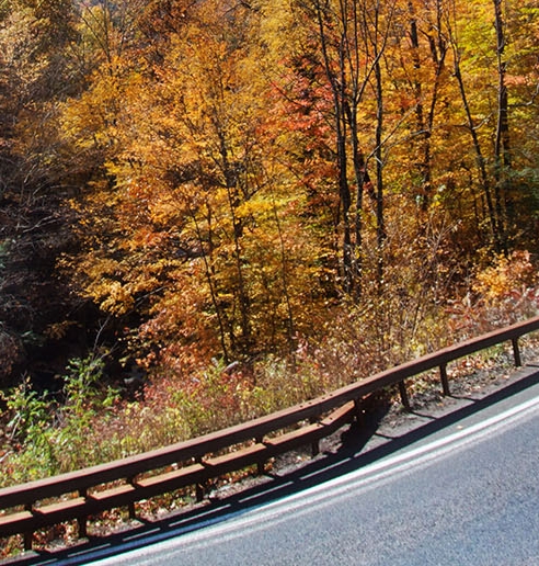 粉象生活如何发现好友