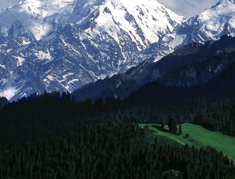 安徽加盟粉象生活怎么赚钱