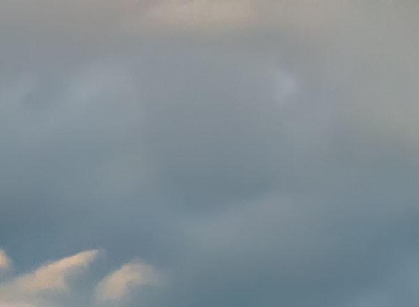 新手粉象生活怎么赚钱