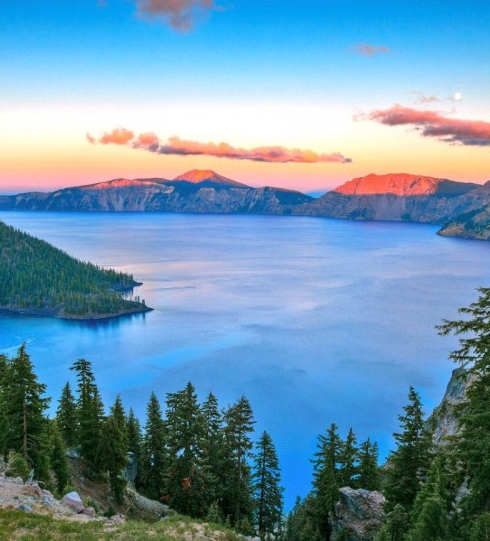 粉象生活下载app