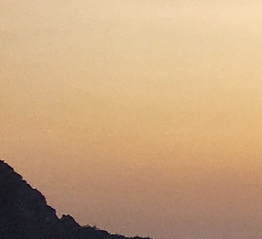 粉象生活软件