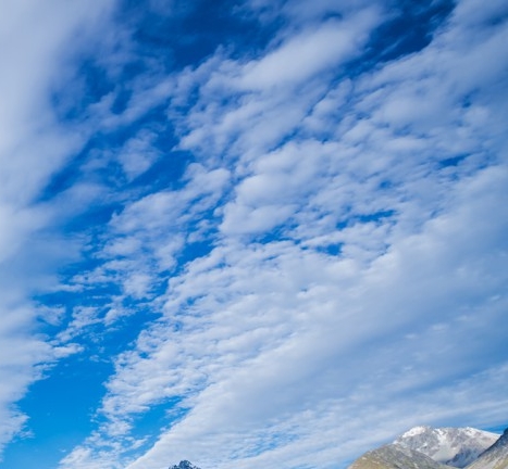 粉象生活怎么赚钱