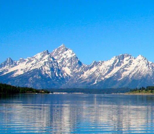 粉象生活可以赚钱吗