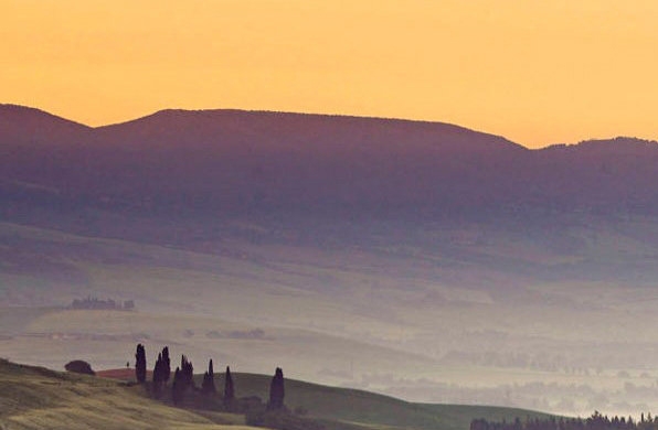 粉象生活购物平台真实吗