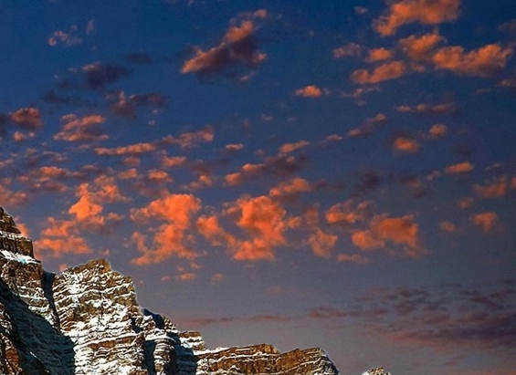 粉象生活加入商家要钱吗