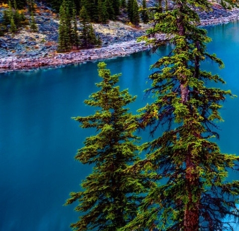 和粉象生活对比