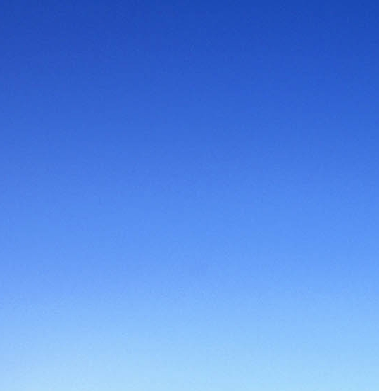 粉象生活运营总监