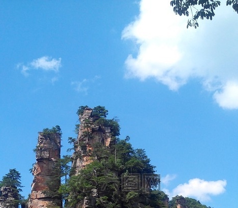 京粉怎么看佣金