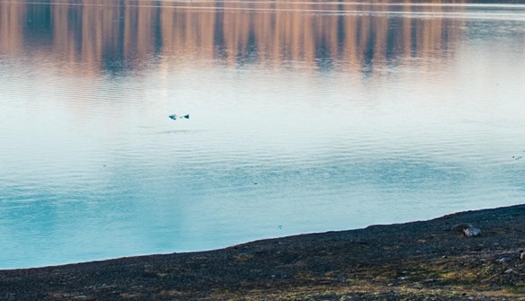 粉象生活到底能不能做