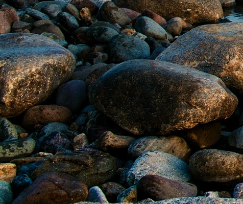 厦门生活照料一般收费多少