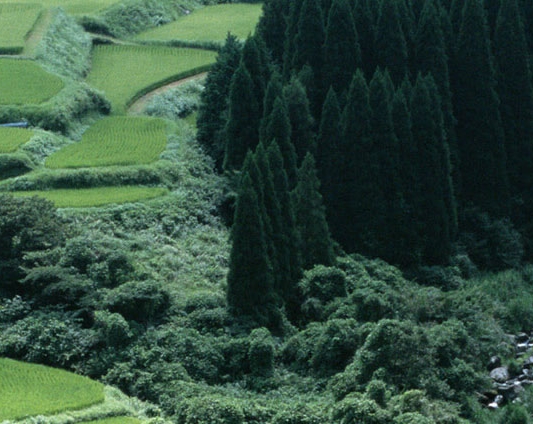 粉象生活可以发货吗