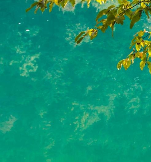 粉象生活是什么?