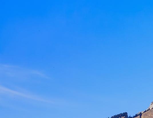 粉象生活套路是什么