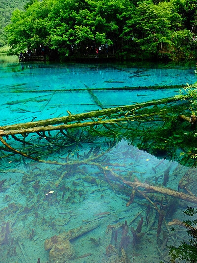 网易云生活福利