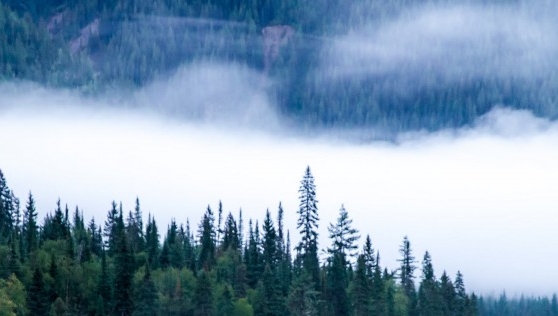 做粉象生活靠什么赚钱